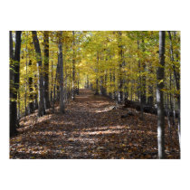 AUTUMN TRAIL. POSTER