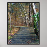 Autumn Trail Poster