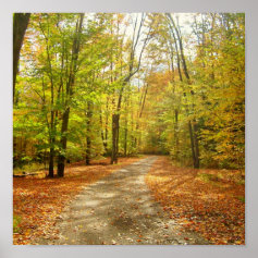 Autumn Trail Print