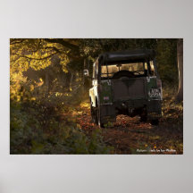 Autumn trails print