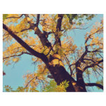 Autumn tree full color flyer