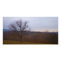 Autumn Tree Personalized Photo Card