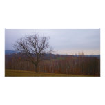 Autumn Tree Personalized Photo Card