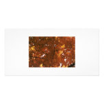 Autumn Tree Photo Card