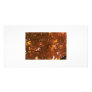 Autumn Tree Photo Card