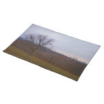 Autumn Tree Place Mats