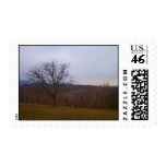 Autumn Tree Postage Stamp