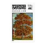 Autumn Tree Postage Stamp