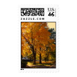 Autumn Tree Postage Stamps