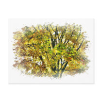 Autumn Tree Postcard