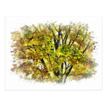 Autumn Tree postcards