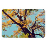 Autumn tree vinyl magnets