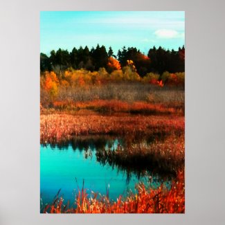 Autumn Trees and Water in Newfoundland Canada Print