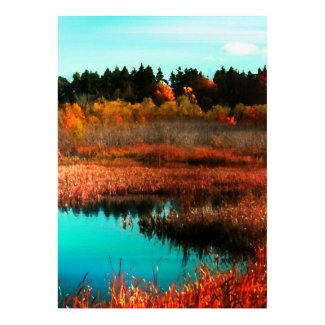 Autumn Trees and Water in Newfoundland Canada Print