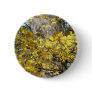 AUTUMN TREES PINS