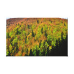 Autumn trees gallery wrapped canvas