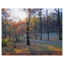 Autumn trees full color flyer