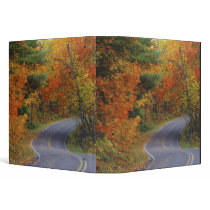Autumn trees line roadway in Itasca State Park Binder