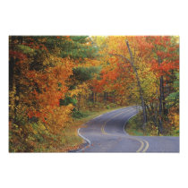 Autumn trees line roadway in Itasca State Park