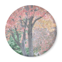 Autumn Trees magnets