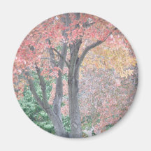 Autumn Trees Magnet
