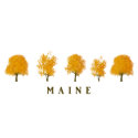 Autumn Trees - Maine hat
