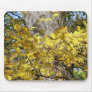 AUTUMN TREES MOUSE PAD