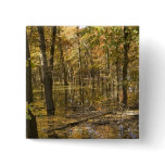 Autumn Trees Near a Lake Button