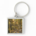 Autumn Trees Near a Lake Key Chains