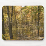 Autumn Trees Near a Lake Mouse Pads