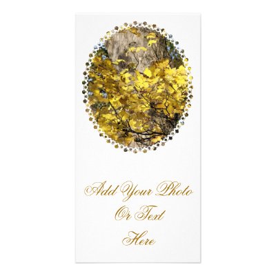 AUTUMN TREES PHOTO CARD TEMPLATE by thewildside