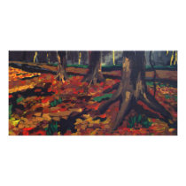Autumn Trees Photo Cards