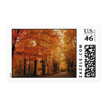 Autumn Trees Postage Stamps