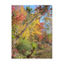 Autumn Trees Postcards