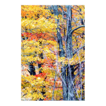 autumn trees posters by dma847 autumn trees posters