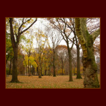 Autumn Trees Print New York Landscape Poster posters