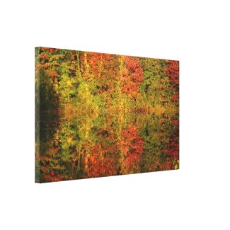 Autumn Trees Reflections Wrapped Canvas wrappedcanvas