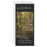 Autumn trees standing in water personalized rack card