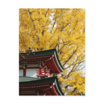 Autumn VI postcards by niteangel Autumn VI postcards