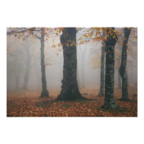 Autumn view of foggy forest, Grandfather 2