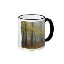 Autumn view of foggy forest, Grandfather 3 Coffee Mug