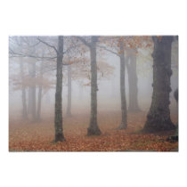 Autumn view of foggy forest, Grandfather