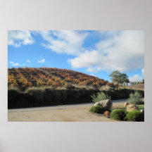 Autumn Vineyard Poster