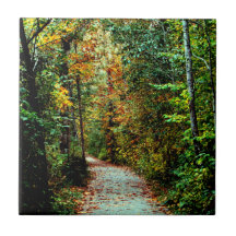 Autumn Walk Ceramic Tiles