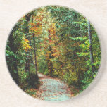 Autumn Walk Beverage Coaster