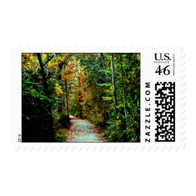 Autumn Walk Postage Stamp by northwest_photograph