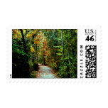 Autumn Walk Postage Stamp
