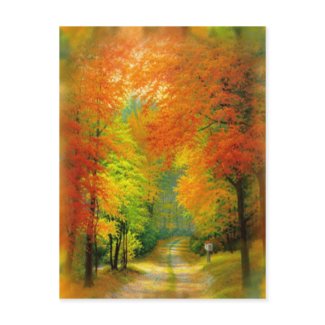 Autumn Walk Postcard postcard