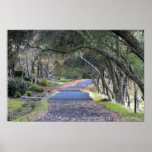 "Autumn Walk" Poster