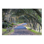 "Autumn Walk" Poster